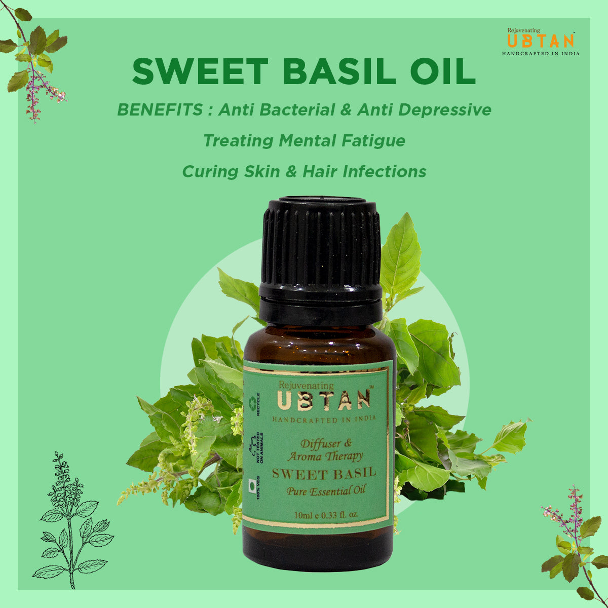 Sweet Basil Essential Oil - Rejuvenating UBTAN